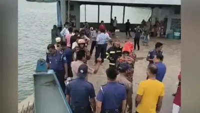 দৌলতদিয়া ফেরিঘাটে বাস পাদ্মায়, হতাহত নেই