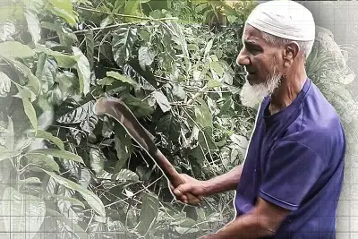 প্রথম আলো ভিডিও: বাংলাদেশের বিশেষ প্রতিবেদন