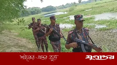বিএসএফের পুশ-ইন চেষ্টা ব্যর্থ, বিজিবির কঠোর অবস্থান
