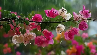 দেশজুড়ে বৃষ্টির আভাস, ডেঙ্গু মোকাবিলায় মোবাইল কোর্ট, স্বর্ণে বড় পতন