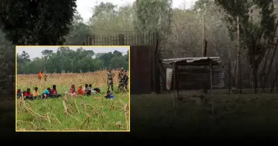 লালমনিরহাটে বিএসএফের পুশইন ব্যর্থ, ফেরত নিল ৩৩ জনকে