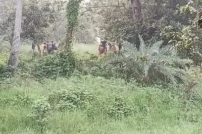 বিএসএফের ঠেলে পাঠানো ২৮ জন শূন্যরেখা থেকে উধাও