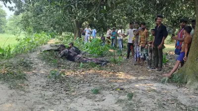 গোমস্তাপুর সীমান্তে বিএসএফ ২৮ জনকে ফিরিয়ে নিল, পাচারকারী আটক