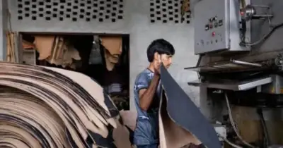 চামড়া শিল্পের ভবিষ্যৎ নিয়ে উদ্বেগ, নীতি অবহেলায় সম্ভাবনা হারানোর ঝুঁকি