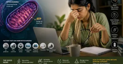 মাইটোকন্ড্রিয়ার অকার্যকারিতা: বাংলাদেশে ডায়াবেটিস-হৃদরোগের নীরব কারণ?
