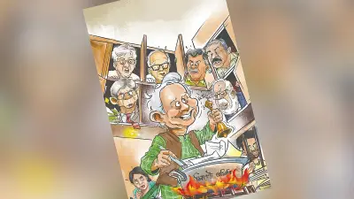 কিচেন ক্যাবিনেট: প্রকারভেদ ও বাস্তবতা