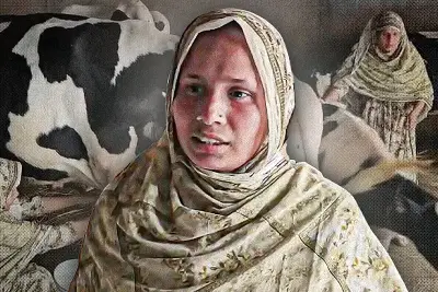 বাংলাদেশের নবম জাতীয় সংসদ নির্বাচন: ইতিহাসের পাতায় এক নজর