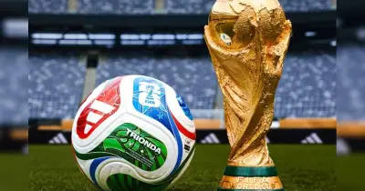 প্রাণী, মডেল ও তারকাদের ভবিষ্যদ্বাণী নিয়ে শুরু ২০২৬ বিশ্বকাপের উত্তাপ