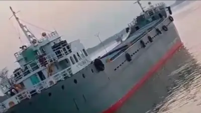 সুন্দরবনে কার্গো জাহাজে ডাকাতির চেষ্টা, গুলি ও লুটপাট