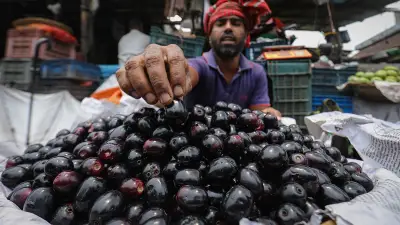 বর্ষার আগমনী বার্তা জানাচ্ছে নীল পারুল, তালের কদর বেড়েছে