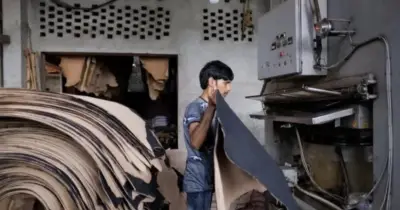 রপ্তানি ঝুড়ি বৈচিত্র্যকরণে চামড়া শিল্পের সম্ভাবনা বাস্তবায়ন জরুরি