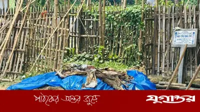 কুষ্টিয়ায় কবর থেকে গৃহবধূর লাশ উত্তোলন, স্বামী পলাতক