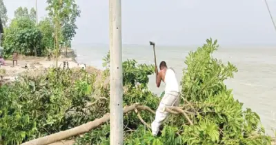 ব্রহ্মপুত্র ভাঙনে কুড়িগ্রামে ৫০ পরিবার নিঃস্ব, বিদ্যালয়সহ স্থাপনা হুমকিতে