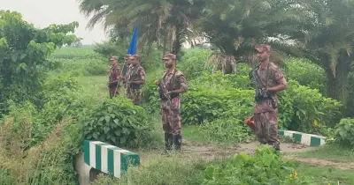 মেহেরপুর সীমান্তে বিএসএফের পুশইন চেষ্টা ব্যর্থ করেছে বিজিবি