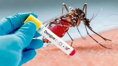 গাজীপুরে ডেঙ্গু জ্বরে আক্রান্ত হয়ে ৯ বছরের শিশুর মৃত্যু