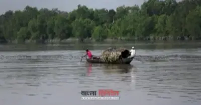 কুমিরের আক্রমণে নারী জেলে নিহত