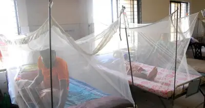 খুলনা বিভাগে ডেঙ্গু আক্রান্ত ৭০২, মৃত্যু ৩ জন