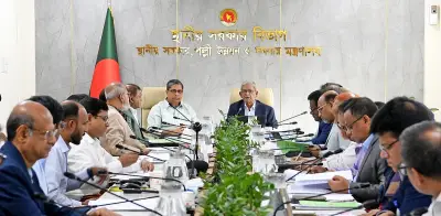 ডেঙ্গু প্রতিরোধে উচ্চপর্যায়ের বিশেষ টাস্কফোর্স গঠন করল সরকার