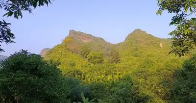 টেকনাফে পল্লী হোমিও চিকিৎসককে অস্ত্রের মুখে অপহরণ