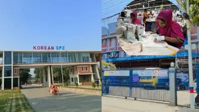 কর্ণফুলীর তীরে কোরিয়ান উদ্যোক্তার সবুজ শিল্পনগরী কেইপিজেড