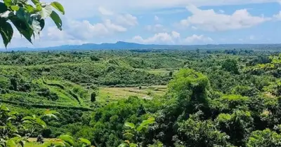বান্দরবানে আবারও মাইন বিস্ফোরণ, এক ব্যক্তি গুরুতর আহত