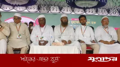 যেপথে গেছেন শেখ হাসিনা, সেপথে যাবেন তারেক রহমান: মামুনুল হক