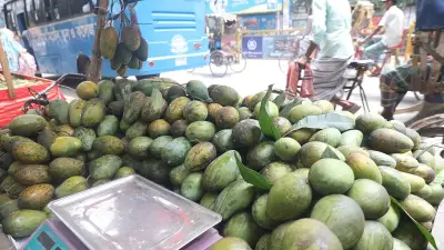 বগুড়ায় আমের বাজার জমজমাট, দামে নাভিশ্বাস ক্রেতাদের