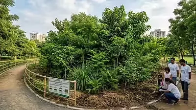 জাপানি মিয়াওয়াকি পদ্ধতি: শহরে ঘন বন সৃষ্টির নতুন দিগন্ত