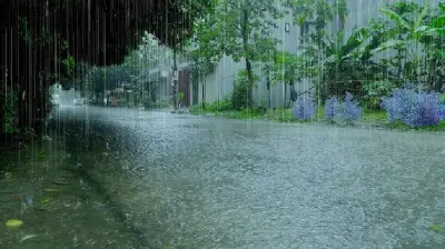 ঢাকাসহ ৩ বিভাগে মাঝারি ভারী বৃষ্টির সম্ভাবনা