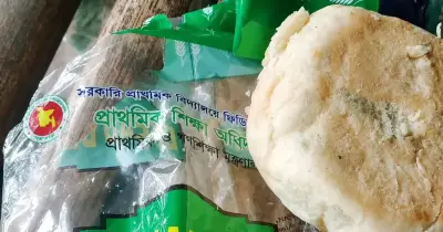 পাবনার বেড়ায় প্রাথমিক বিদ্যালয়ে ছত্রাকযুক্ত পাউরুটি বিতরণের অভিযোগ