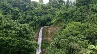প্রকৃতির নিজস্ব গল্প: সোনালি পাতা থেকে ঝরনা পর্যন্ত