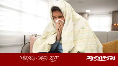 বর্ষায় ডেঙ্গু-জন্ডিসের প্রকোপ: কারণ ও প্রতিরোধের উপায়
