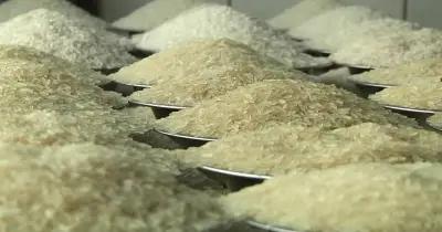 বোরো মৌসুম শেষে চালের দাম বাড়তি, ক্রেতারা বিপাকে