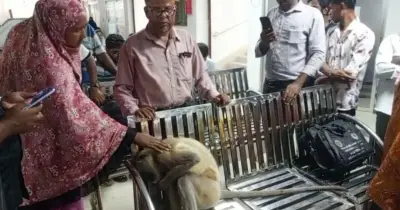 অসুস্থ বুনো হনুমান চিকিৎসার আশায় ক্লিনিকে