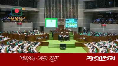 মামুনুল হক ইস্যুতে স্পিকারের বক্তব্য ও বিএনপি সাংসদের মন্তব্য এক্সপাঞ্জ