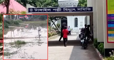 টাঙ্গাইলের সখীপুরে ঝড়ে বিদ্যুতের খুঁটি ভেঙে তিন দিন বিদ্যুৎহীন দুটি গ্রাম