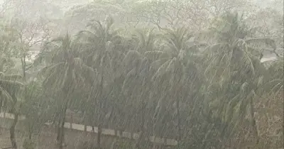 দেশের ১১ জেলায় ঝড়ের পূর্বাভাস, দুপুরের মধ্যে দমকা হাওয়া ও বৃষ্টির সম্ভাবনা