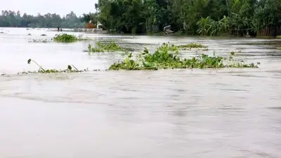 তিস্তার পানি আবারও বিপদসীমা অতিক্রম, বিদ্যুৎ সরবরাহ বাড়ল ৩ মেগাওয়াট