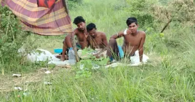 বিএসএফের পুশব্যাকে ১৩ দিন শূন্যরেখায় তিন যুবক, বিজিবি-বিএসএফের সিদ্ধান্তহীনতা