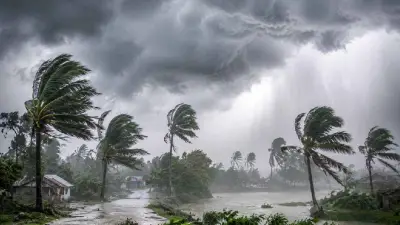 দেশের ৮ জেলায় বজ্রসহ বৃষ্টির আভাস, সরকার ২১১২ কোটি টাকায় ৩ কার্গো এলএনজি কিনছে