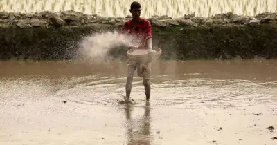 বাংলাদেশে সার ভর্তুকির অর্ধেক পায় শীর্ষ ২০% কৃষক