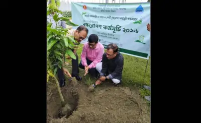 ঢাকা ওয়াসার উদ্যোগে দাশেরকান্দিতে বৃক্ষরোপণ কর্মসূচি শুরু