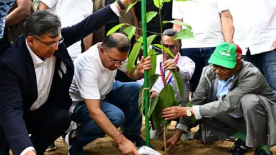 দেশজুড়ে শিক্ষাপ্রতিষ্ঠানে বৃক্ষরোপণ কর্মসূচির উদ্বোধন আজ