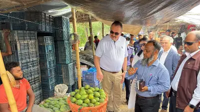 মার্কিন রাষ্ট্রদূতের রাজশাহীর আম হাট পরিদর্শন, পাঁচ জাতের স্বাদ নিলেন