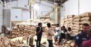 শেরপুরে খাদ্যবান্ধব কর্মসূচির ৩৩ টন সরকারি চাল জব্দ