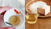 সুস্থ থাকার ৫টি সহজ উপায় যা আপনার জীবন বদলে দেবে