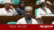 সংসদে ভুল করে স্বরাষ্ট্রমন্ত্রীকে ধন্যবাদ দিলেন আমির হামজা