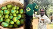 পলাশকে ব্রাজিলের লোগো জড়ানো আম পাঠালেন আর্জেন্টিনার ভক্ত