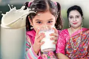 মিয়ানমার থেকে ফেরত আসা রোহিঙ্গাদের পুনর্বাসন শুরু