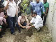কোরবানির হাটের জায়গায় পাঁচ হাজার নিমগাছ রোপনের উদ্যোগ